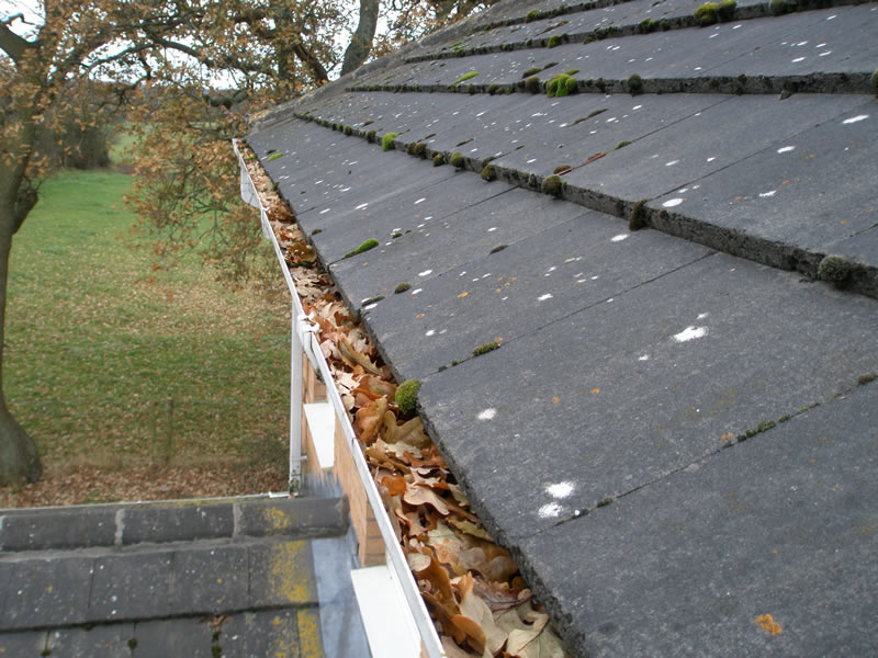 Gutter Cleaning