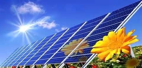 Professional Solar Panel Cleaning. More power to you!